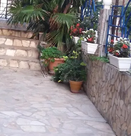 بيت ضيافة Exotic سوزوبول