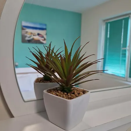 Гостевой дом Exotic 3*